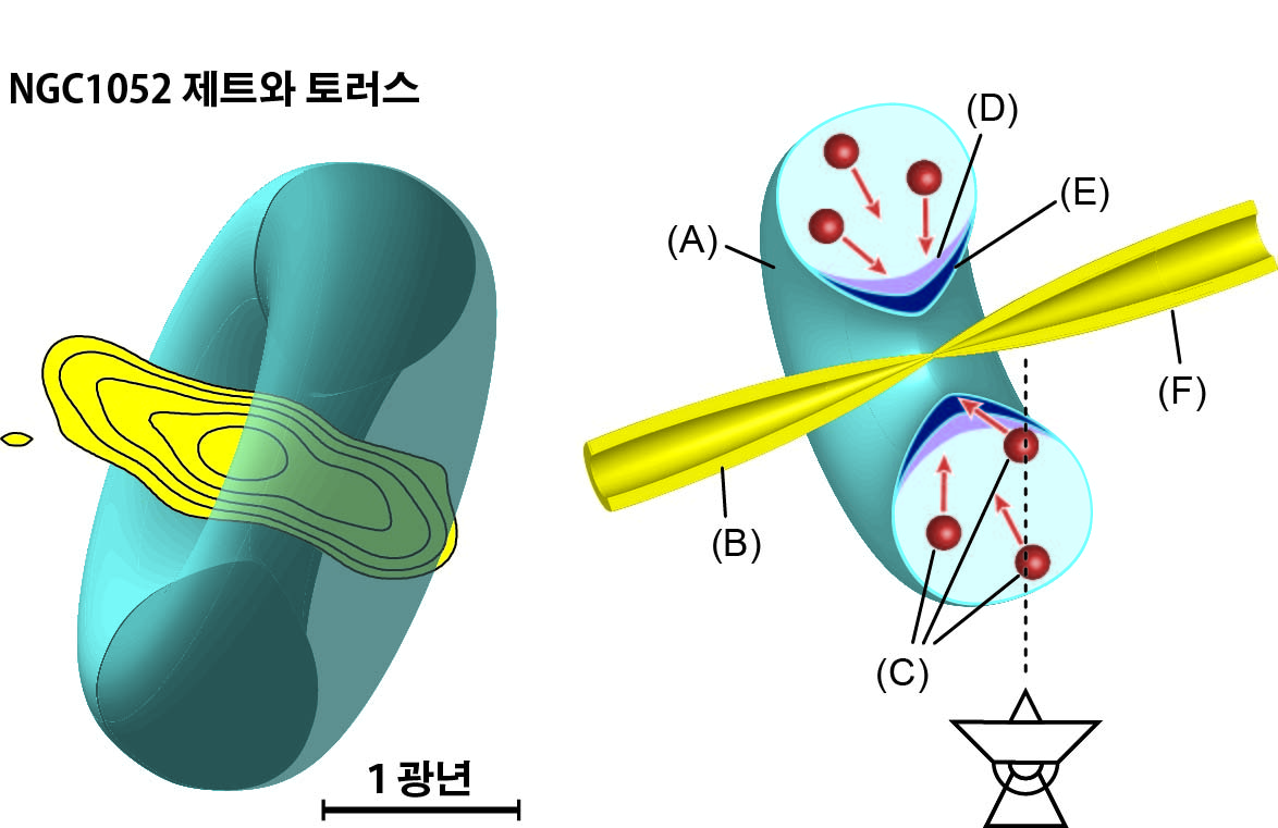 Possible model of the oriented double-sided jet and the circumnuclear torus. (A) A circumnuclear torus. (B) Eastern approaching jet. (C) HCN clouds. (D) Warm molecular region. (E) Plasma region. (F) Western receding jet. 